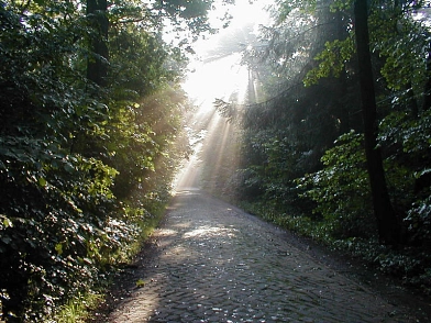 Postweg mit Sonnenstrahlen und Nebel